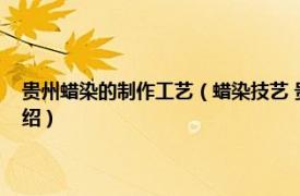 贵州蜡染的制作工艺（蜡染技艺 贵州省安顺市的传统技艺相关内容简介介绍）