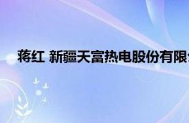 蒋红 新疆天富热电股份有限公司总工程师相关内容简介介绍