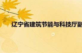 辽宁省建筑节能与科技厅副厅长常汉清简要介绍相关内容