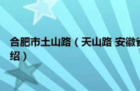 合肥市土山路（天山路 安徽省合肥市的一条道路相关内容简介介绍）