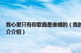 我心里只有你歌曲是谁唱的（我的心里只有你 何秋苹演唱歌曲相关内容简介介绍）