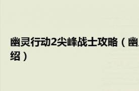 幽灵行动2尖峰战士攻略（幽灵行动3：尖锋战士相关内容简介介绍）