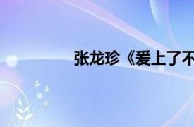 张龙珍《爱上了不该爱的人》歌曲简介