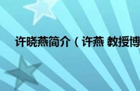 许晓燕简介（许燕 教授博士生导师相关内容简介介绍）