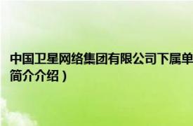 中国卫星网络集团有限公司下属单位（中国卫星网络集团有限公司相关内容简介介绍）