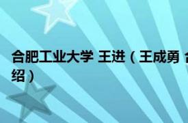 合肥工业大学 王进（王成勇 合肥工业大学副教授相关内容简介介绍）