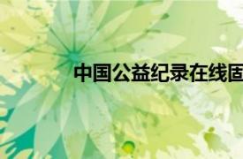 中国公益纪录在线固安工作站站长王王介绍