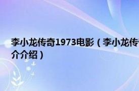 李小龙传奇1973电影（李小龙传奇 1976年吴思远执导的电影相关内容简介介绍）