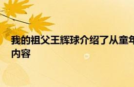 我的祖父王辉球介绍了从童年学徒到中华人民共和国成立的相关内容