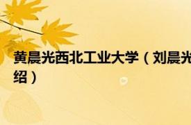 黄晨光西北工业大学（刘晨光 西北工业大学教授相关内容简介介绍）