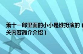 萧十一郎里面的小小是谁扮演的（小公子 电视剧《新萧十一郎》中角色相关内容简介介绍）