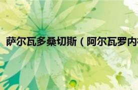 萨尔瓦多桑切斯（阿尔瓦罗内格雷多桑切斯相关内容简介介绍）