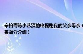 辛柏青陈小艺演的电视剧我的父亲母亲（我的父亲母亲 2013年陈小艺主演电视剧相关内容简介介绍）