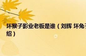 坏猴子影业老板是谁（刘辉 坏兔子影业CEO出品人制片人相关内容简介介绍）