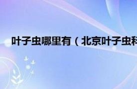 叶子虫哪里有（北京叶子虫科技有限公司相关内容简介介绍）