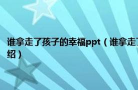 谁拿走了孩子的幸福ppt（谁拿走了孩子的幸福 全面升华版相关内容简介介绍）