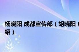 杨晓阳 成都宣传部（胡晓阳 成都电视台主任编辑相关内容简介介绍）