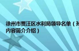 徐州市贾汪区水利局领导名单（孙晓红 徐州市贾汪区水利局纪检书记相关内容简介介绍）