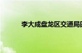 李大成盘龙区交通局四级调研员相关内容简介