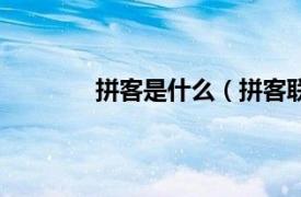 拼客是什么（拼客联盟相关内容简介介绍）