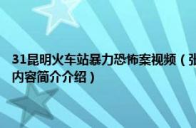 31昆明火车站暴力恐怖案视频（张建光 31昆明火车站暴力恐怖案烈士相关内容简介介绍）