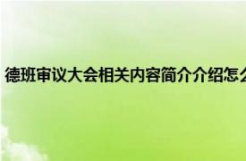 德班审议大会相关内容简介介绍怎么写（德班审议大会相关内容简介介绍）