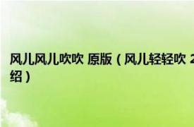 风儿风儿吹吹 原版（风儿轻轻吹 2004年周波导演大陆电影相关内容简介介绍）