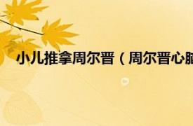 小儿推拿周尔晋（周尔晋心脑疾病按摩法相关内容简介介绍）