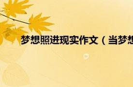 梦想照进现实作文（当梦想照进现实相关内容简介介绍）