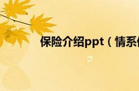 保险介绍ppt（情系保险相关内容简介介绍）