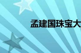 孟建国珠宝大盗相关内容简介