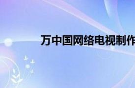 万中国网络电视制作中心主任相关内容简介