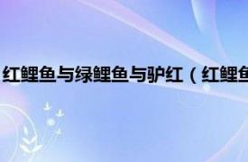 红鲤鱼与绿鲤鱼与驴红（红鲤鱼与绿鲤鱼与驴相关内容简介介绍）