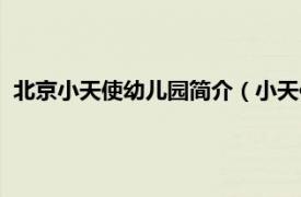 北京小天使幼儿园简介（小天使双语幼儿园相关内容简介介绍）