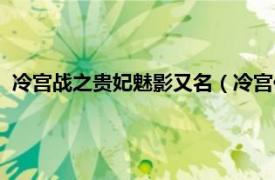 冷宫战之贵妃魅影又名（冷宫传之贵妃魅影相关内容简介介绍）