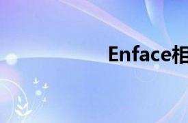 Enface相关内容介绍