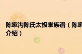 陈家沟陈氏太极拳族谱（陈家沟 陈氏太极拳发源地相关内容简介介绍）