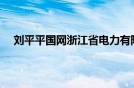 刘平平国网浙江省电力有限公司湖州供电公司员工简介