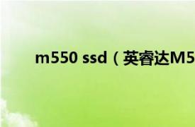 m550 ssd（英睿达M5501TB相关内容简介介绍）