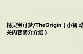 精灵宝可梦/TheOrigin（小智 动画《宝可梦 THE ORIGIN》中的主角相关内容简介介绍）