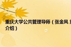 重庆大学公共管理导师（张金凤 重庆大学公共管理学院讲师相关内容简介介绍）