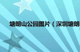 塘朗山公园图片（深圳塘朗山郊野公园相关内容简介介绍）