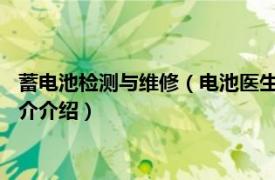 蓄电池检测与维修（电池医生-电池专业检测维护管家相关内容简介介绍）