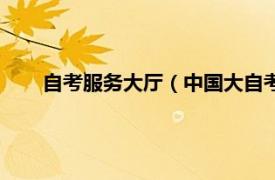 自考服务大厅（中国大自考服务中心相关内容简介介绍）