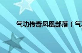 气功传奇凤凰部落（气功传奇相关内容简介介绍）