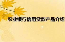 农业银行信用贷款产品介绍（农业信贷相关内容简介介绍）