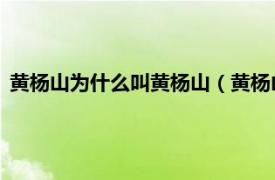 黄杨山为什么叫黄杨山（黄杨山 安阳黄杨山相关内容简介介绍）