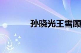 孙晓光王雪顾问相关内容简介