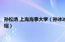 孙松浩 上海海事大学（孙冰冰 上海海事大学讲师相关内容简介介绍）