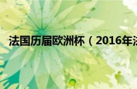 法国历届欧洲杯（2016年法国欧洲杯相关内容简介介绍）